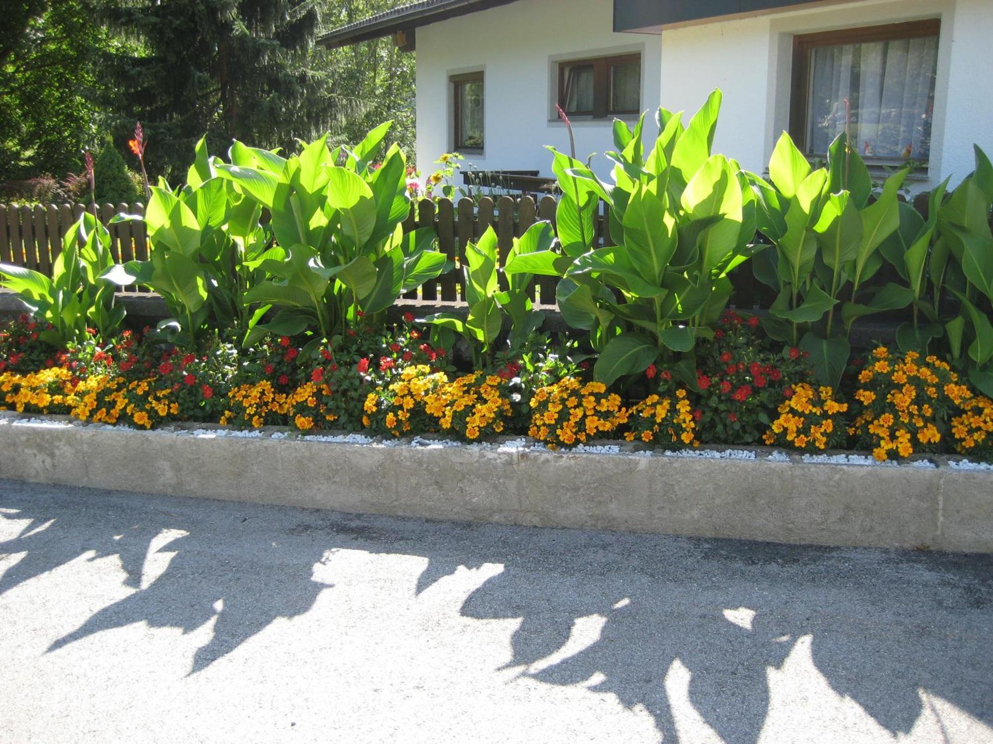 Ferienwohnungen Schleich Nassereith Esterno foto